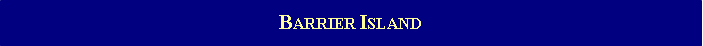 Text Box: BARRIER ISLAND
